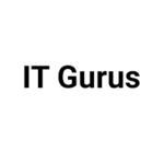 IT Gurus